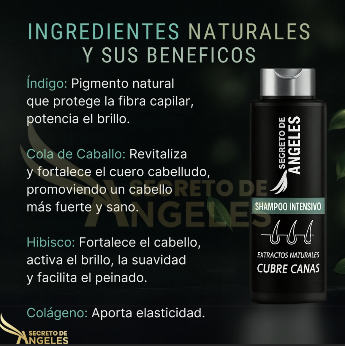 Shampoo Anticanas +OBSEQUIO Colageno activador+ Crema exfoliante⭐⭐⭐⭐⭐,,(ENVIO GRATIS 🔥)PAGO CONTRA ENTREGA🚛