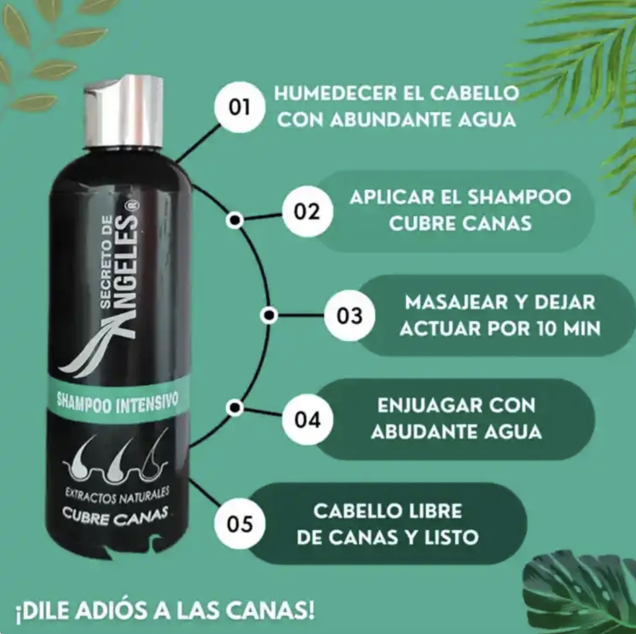 Shampoo Anticanas +OBSEQUIO Colageno activador+ Crema exfoliante⭐⭐⭐⭐⭐,,(ENVIO GRATIS 🔥)PAGO CONTRA ENTREGA🚛